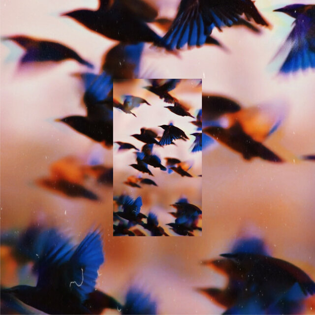 Bluebird