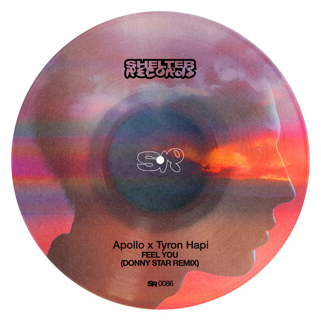 Cover art for album Feel You (Remix) by Apollo, Tyron Hapi