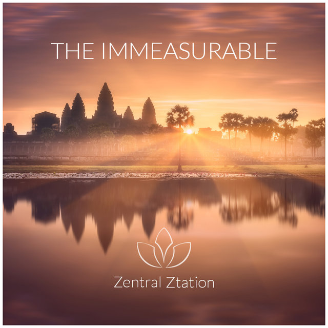 The Immeasurable