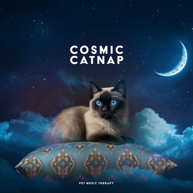 Cosmic Catnap