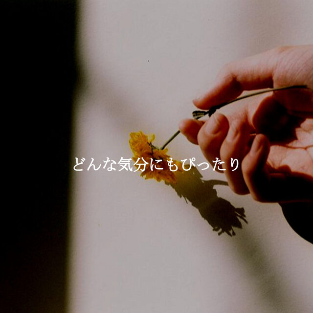 どんな気分にもぴったり