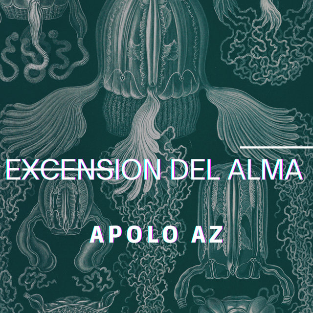 Exension del Alma