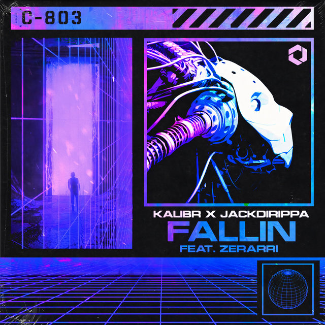 Fallin (feat. Zerarri)