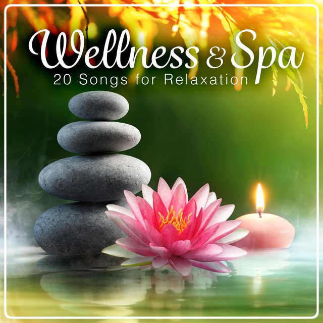 Wellness & Spa - 20 Songs for Relaxation