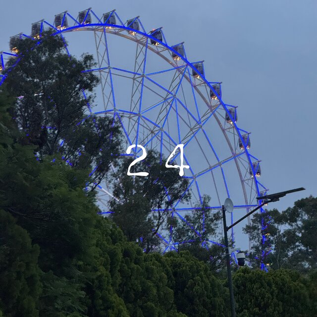 24