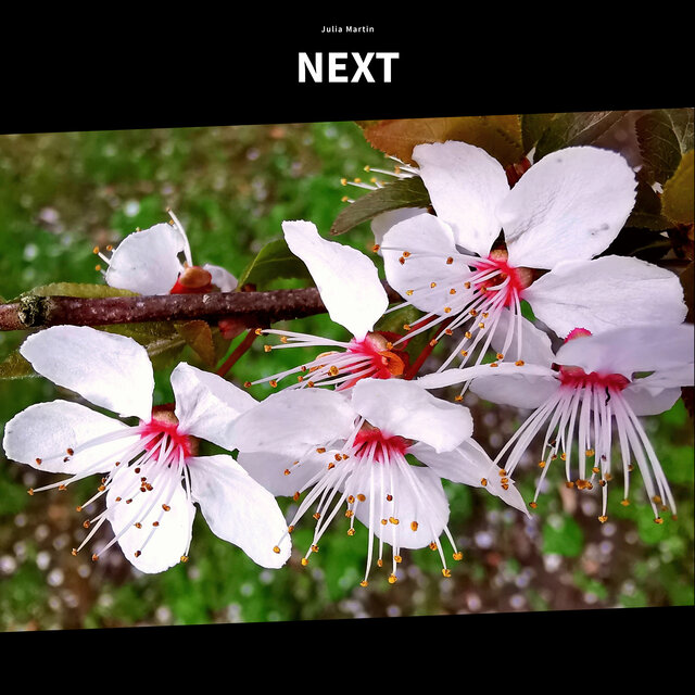 Next