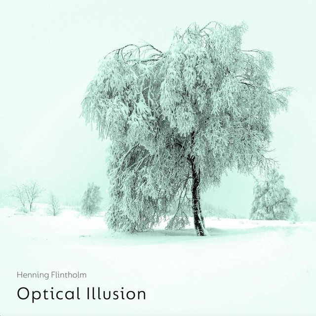 Optical Illusion