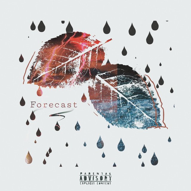 Forecast