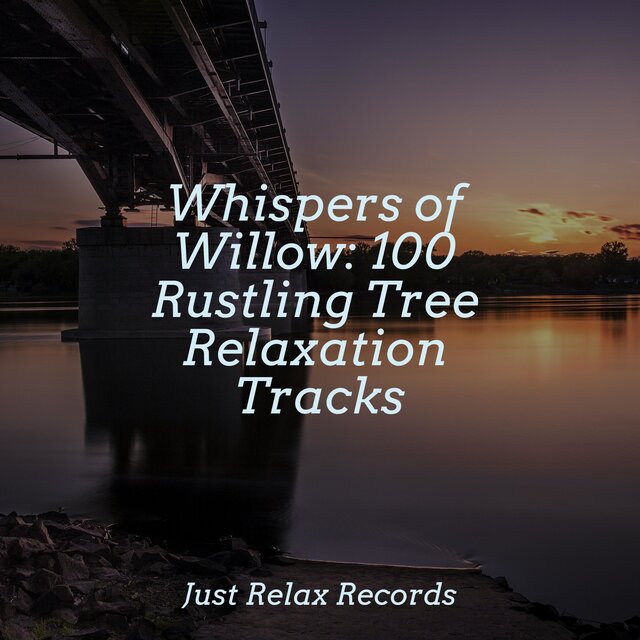Whispers of Willow: 100 Rustling Tree Relaxation Tracks
