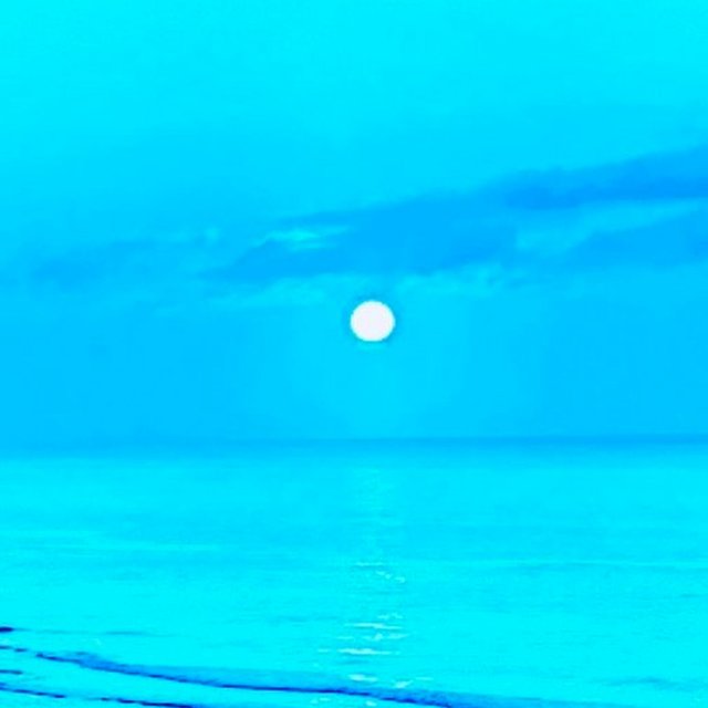 blueberry sunset