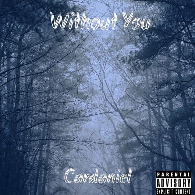 Without You
