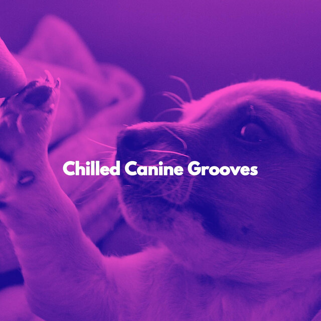 Chilled Canine Grooves