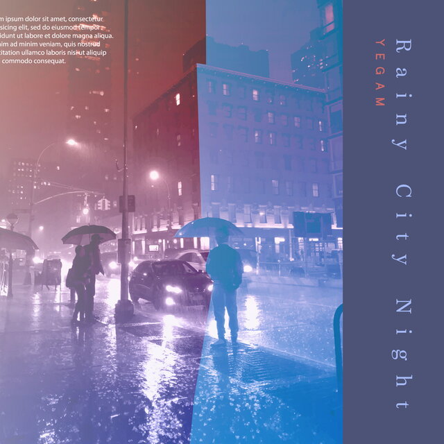 Rainy City Night