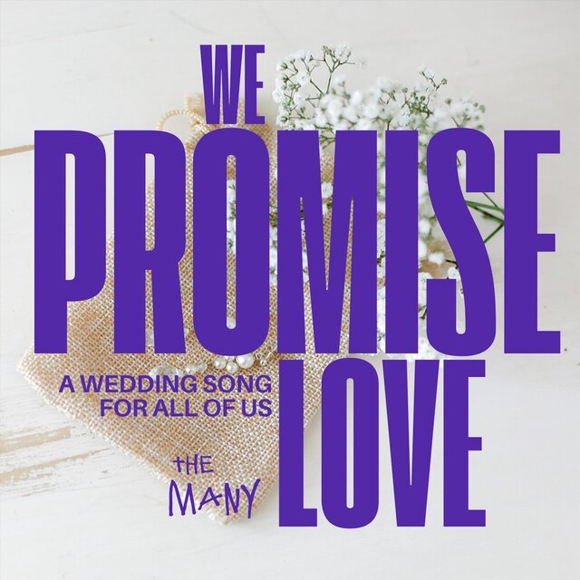 We Promise Love