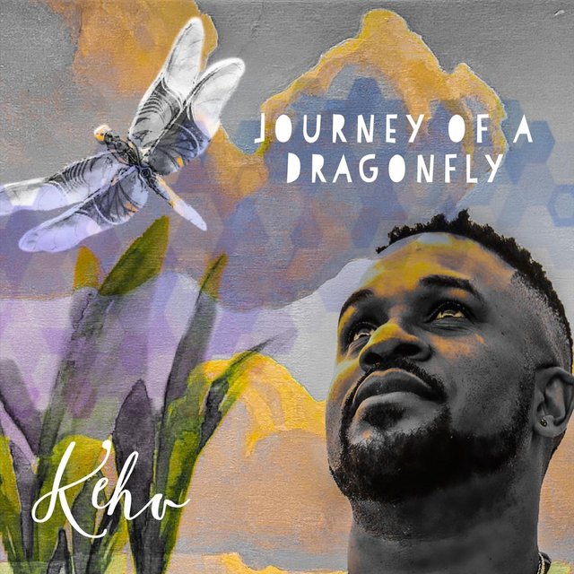 Journey of a Dragonfly
