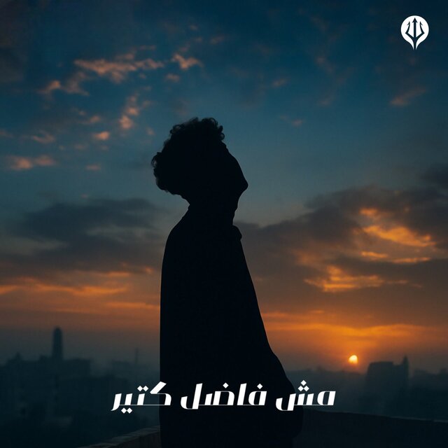 مش فاضل كتير