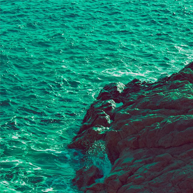 Swim to Shore
