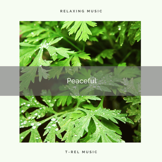 ! ! ! ! -=Peaceful=- ! ! ! !