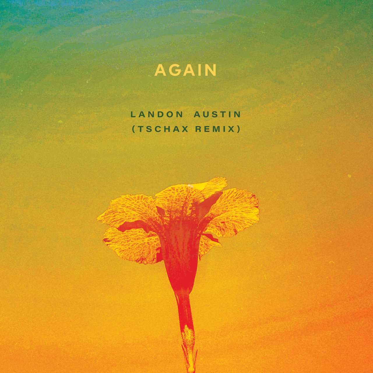 Again by Landon Austin on TIDAL