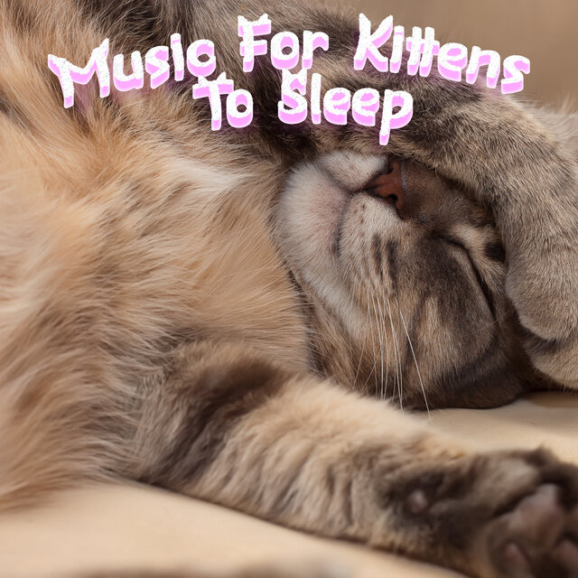 Calming Sleep Music For Kittens & Cats