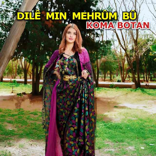 Dilê Min Mehrûm Bû