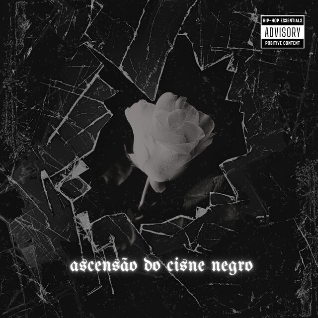 Ascensão do Cisne Negro