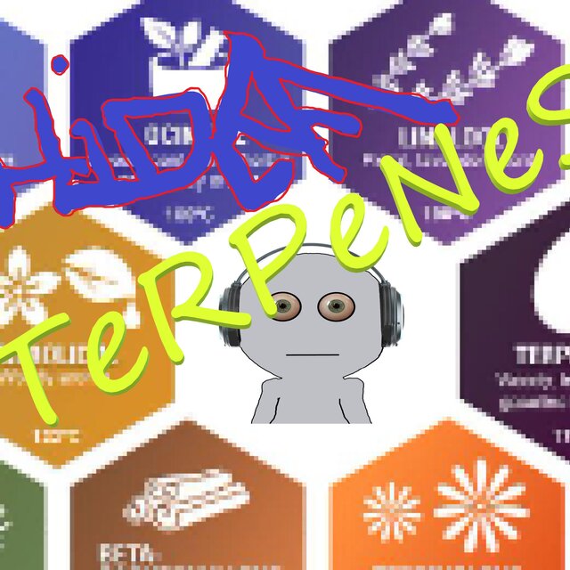TeRPeNeS