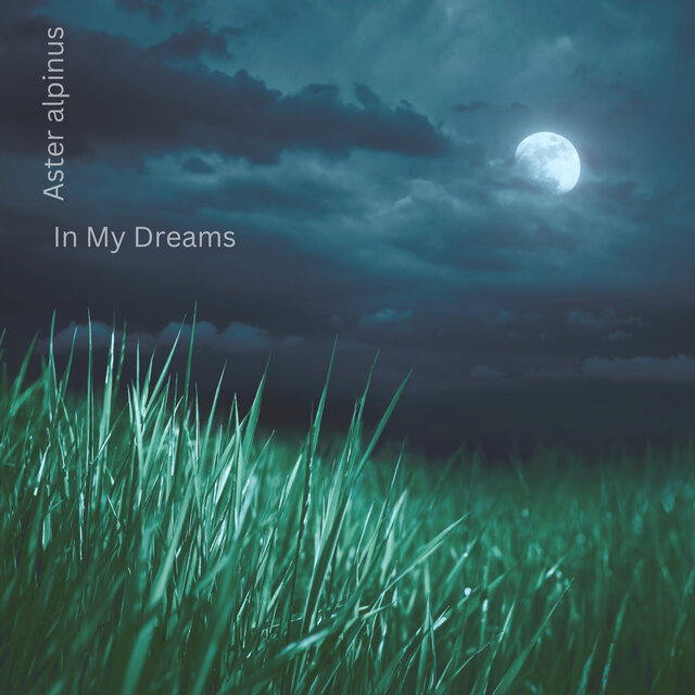 In My Dreams