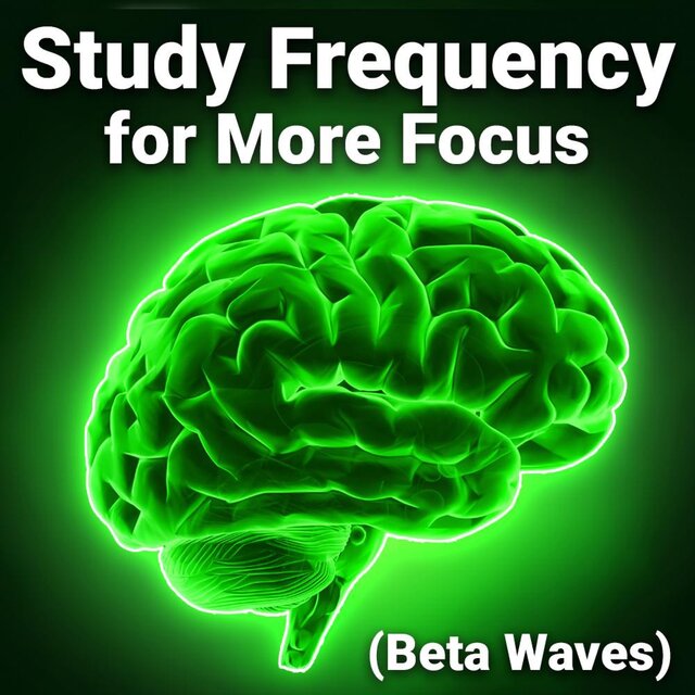 Study Frequency for More Focus (Beta Waves)