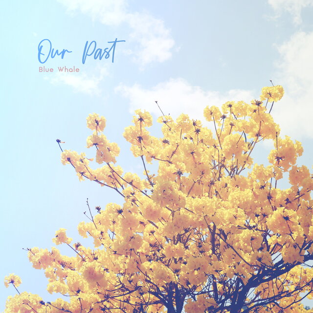 Our Past