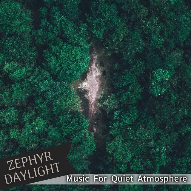 Music For Quiet Atmosphere