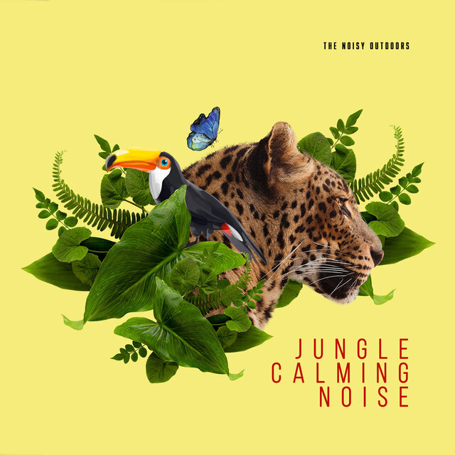 Jungle Calming Noise
