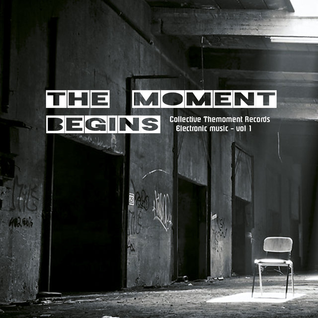 Collective Themoment Records. Electronic Music. Vol. 1