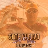Si Te Vuelvo A Ver