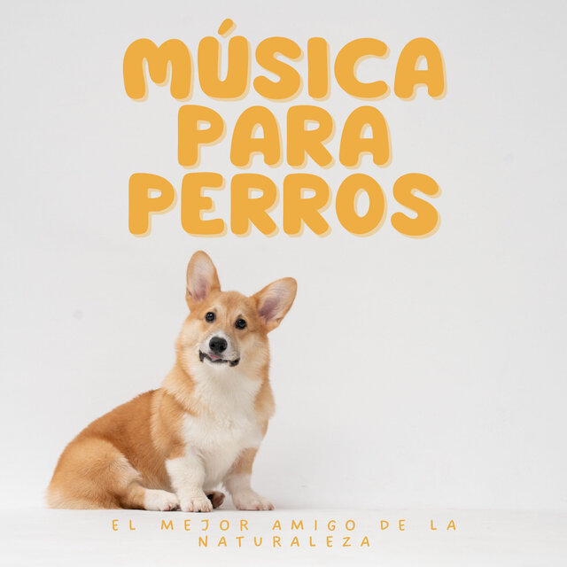 Música para Perros: El Mejor Amigo de la Naturaleza