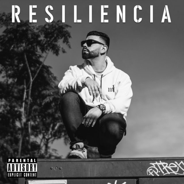 Resiliencia