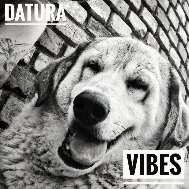 Vibes