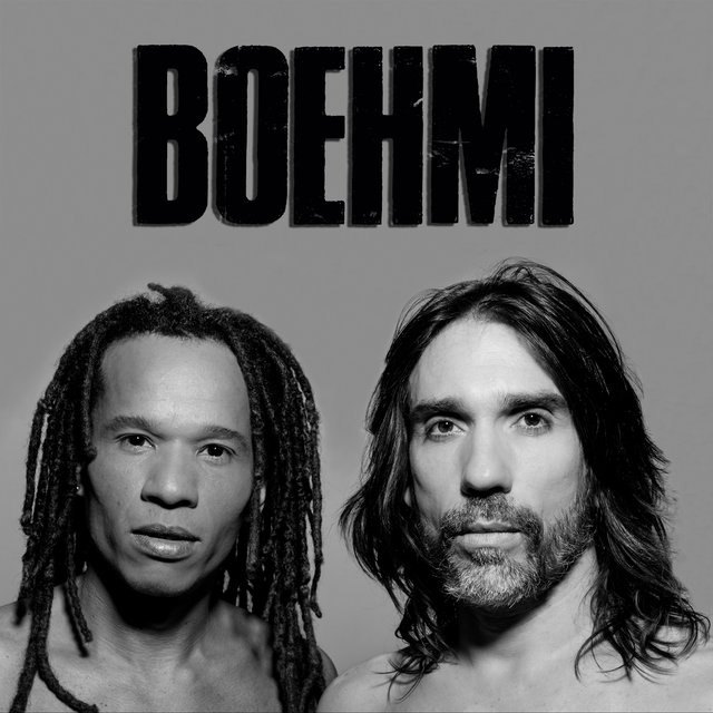 Boehmi