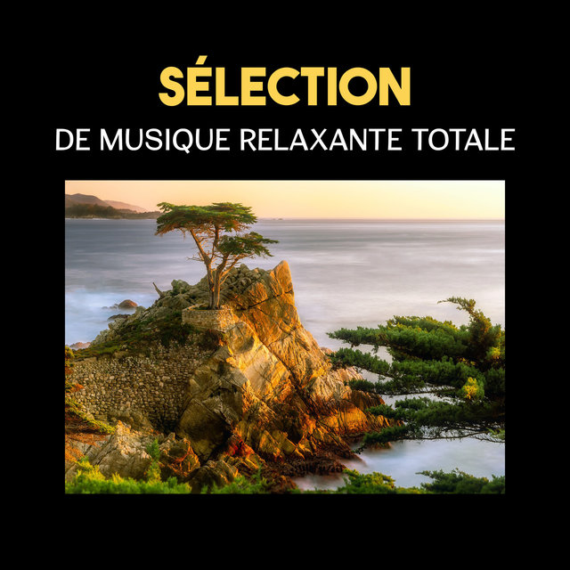 Sélection de musique relaxante totale (Chansons instrumentales et sons de la nature pour réduction du stress, Méditation et sommeil)