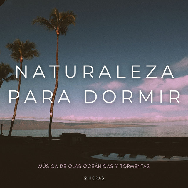 Naturaleza Para Dormir: Música De Olas Oceánicas y Tormentas - 2 Horas