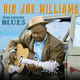 Cover art for album Southside Blues by Big Joe Williams
