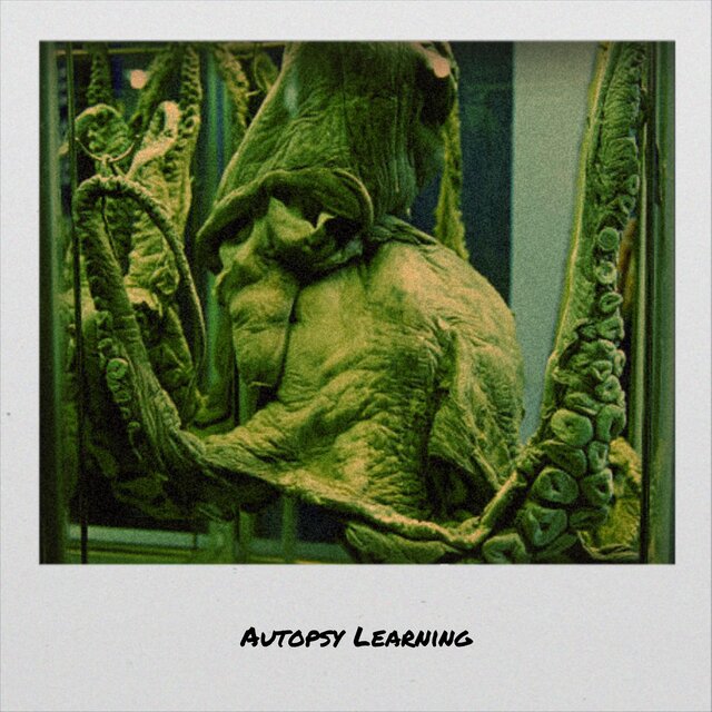 Autopsy Learning