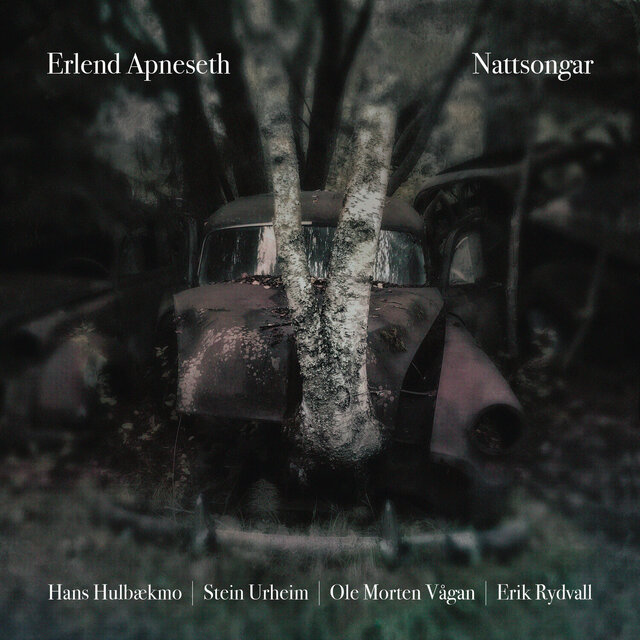 Nattsongar