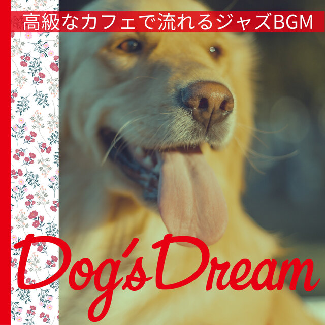 高級なカフェで流れるジャズBGM
