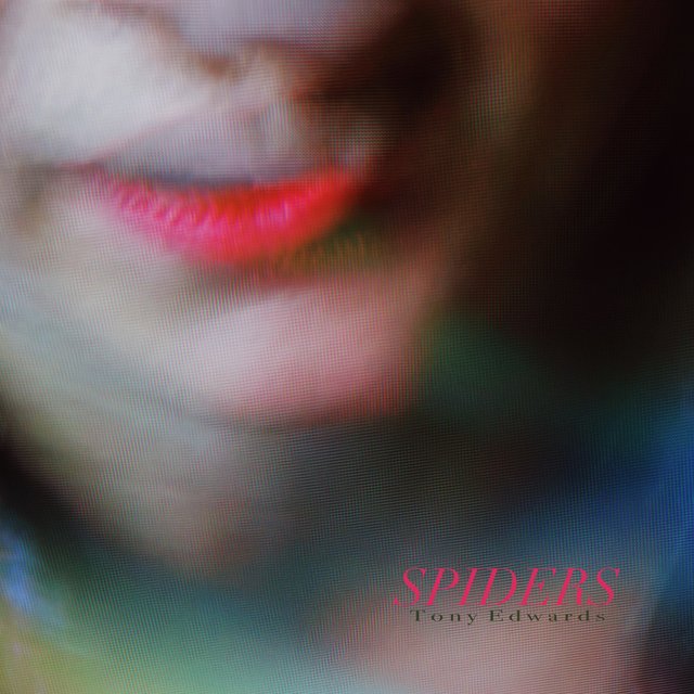 Spiders