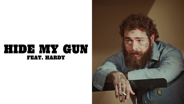 Hide My Gun