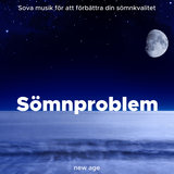 Studera Musik
