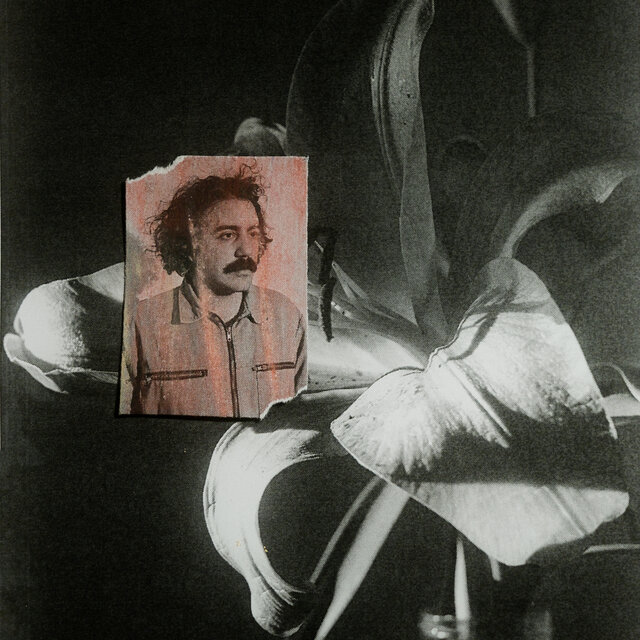 Tane Tane