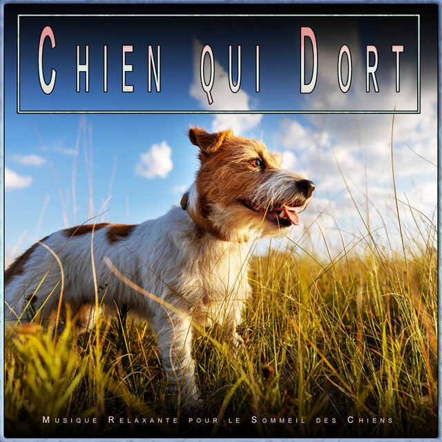 Chien qui Dort: Musique Relaxante pour le Sommeil des Chiens