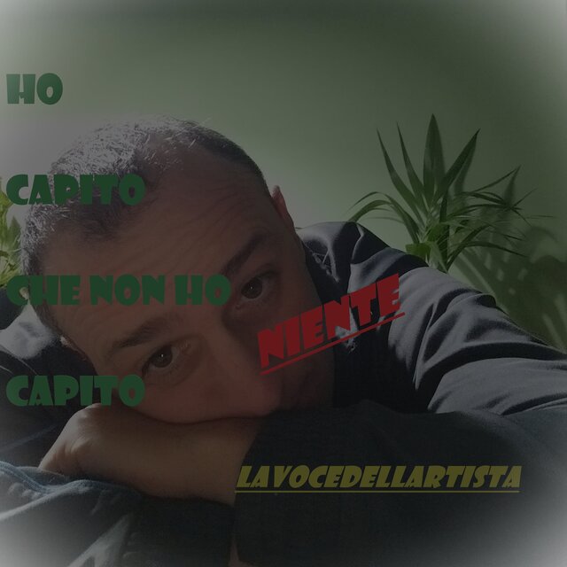 Ho capito che non ho capito niente